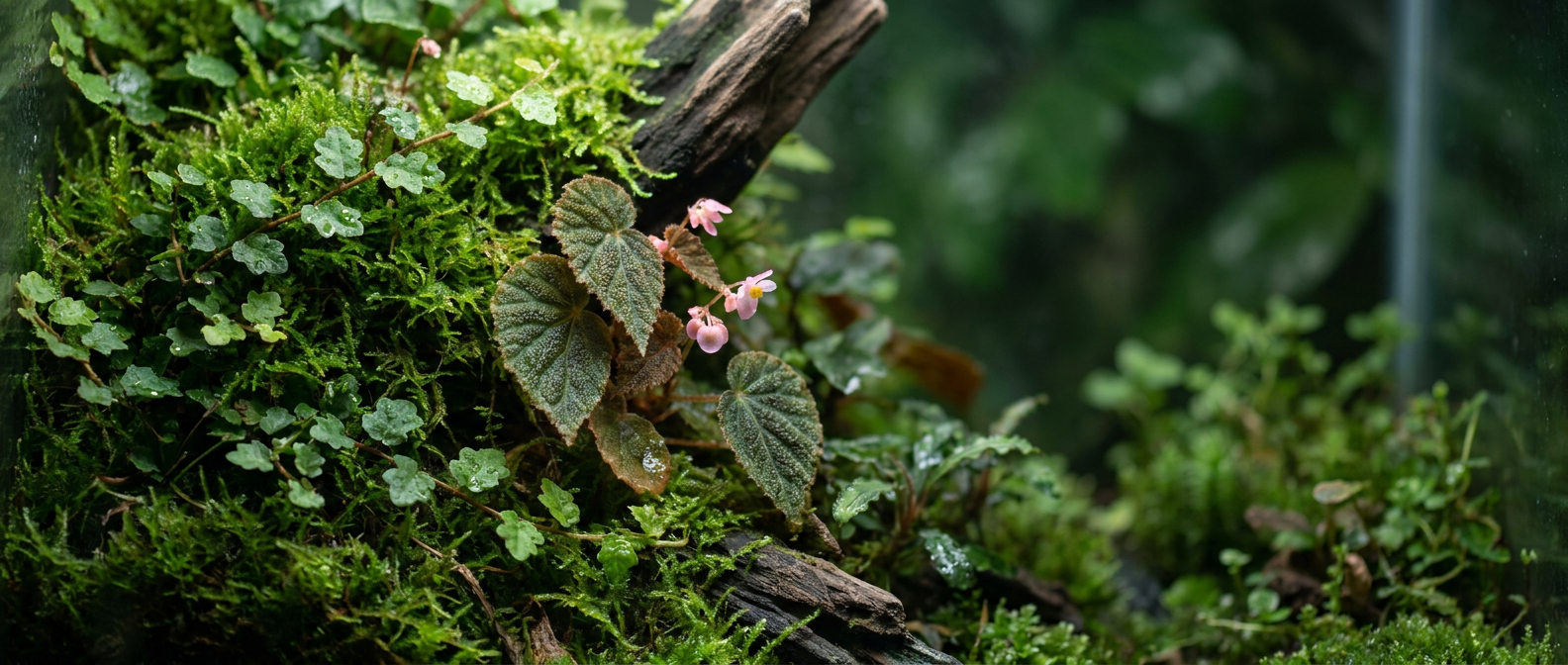 Bring the Habitat to Life