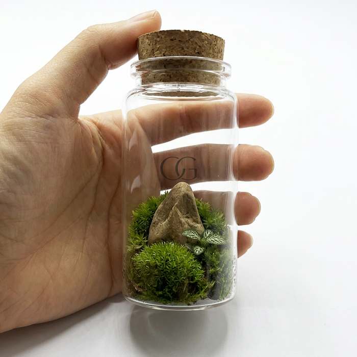 Glass Tube Terrarium