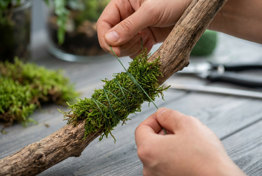 Moss Attachment Methods