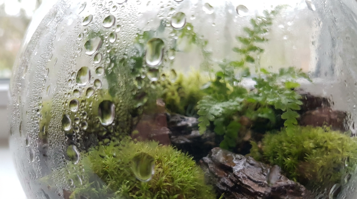 Excess Condensation