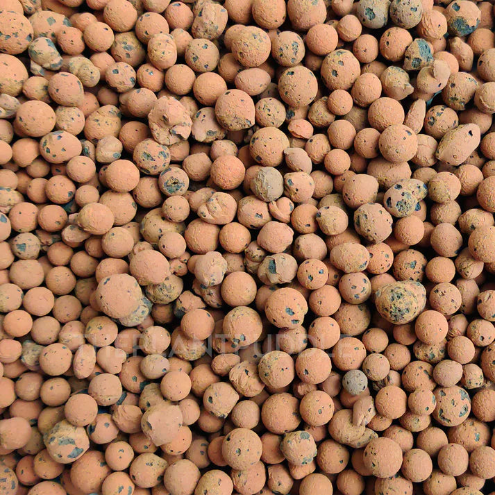 TERRA POTS Medium Lecca (6-10mm)