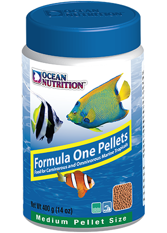 OCEAN NUTRITION Formula One Pellets (Medium / 400g)