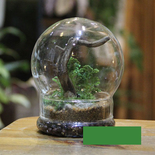 TERRA POTS Glass Closed Terrarium (S Orb Stand)