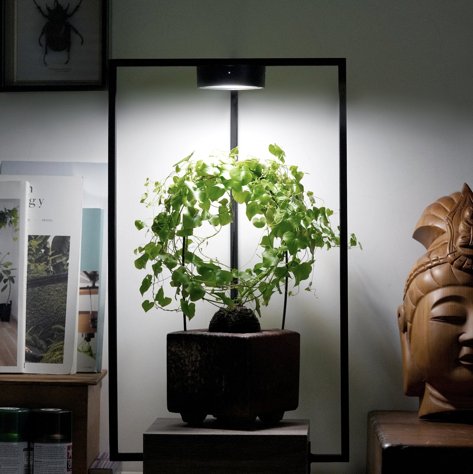 magnetic grow lights for indoor plants ONF MIST O (LED Magnetic Plant Light / Black) – Green Chapter