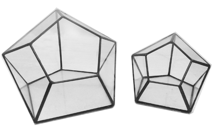TERRA POTS Geometric Terrarium Mini Hexagon (14x12x10cm / S)