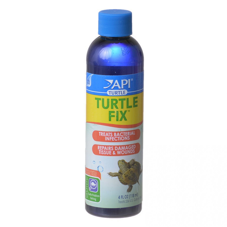 API Turtle Fix