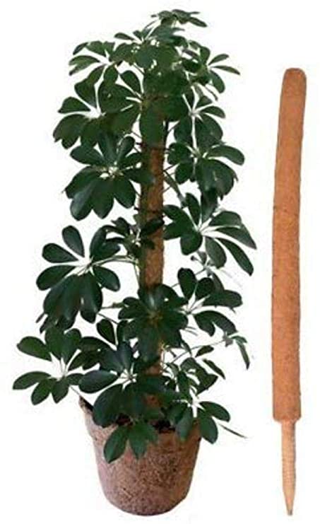 Coco Fibre Growing Pole (120cm)
