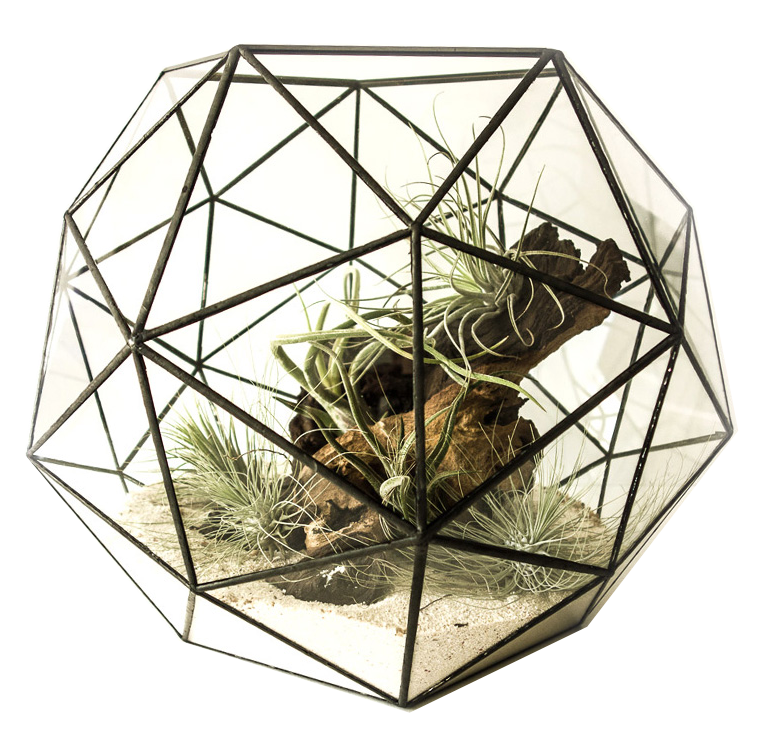 TERRA POTS Geometric Terrarium Super Octogon (25x25x19cm / L)