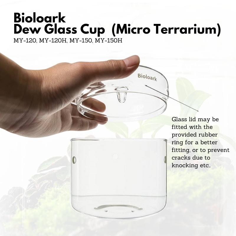 BIOLOARK LED Glass Jar MY Series (Dew Glass Cup / Micro Terrarium)