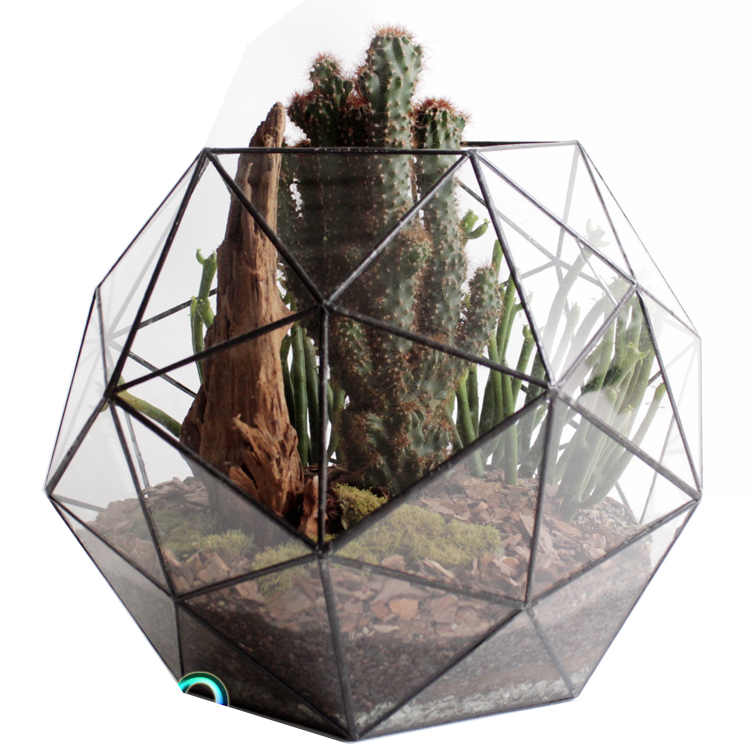 TERRA POTS Geometric Terrarium Super Octogon (33x33x27cm / XL)