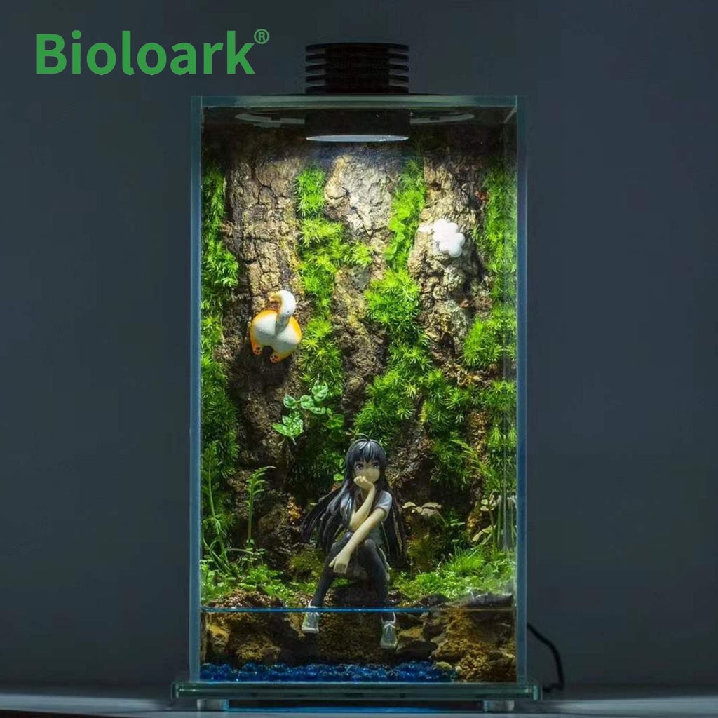 BIOLOARK LED Glass Jar FD Series