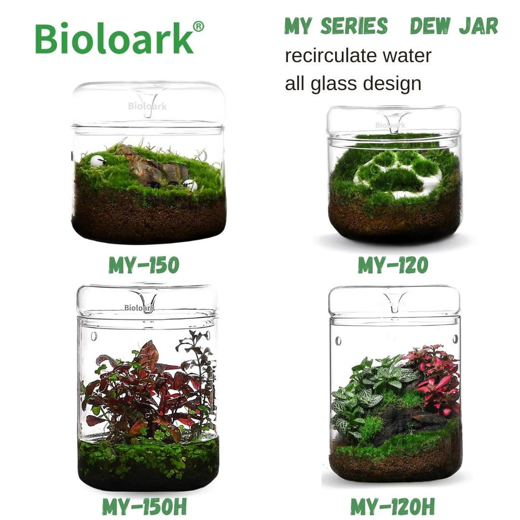 BIOLOARK LED Glass Jar MY Series (Dew Glass Cup / Micro Terrarium)