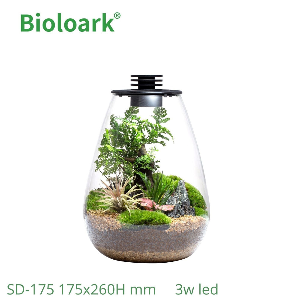 BIOLOARK LED Glass Jar SD Series