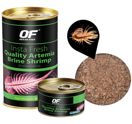 OF Insta Fresh Quality Artemia Brine Shrimp (100g / Canned)