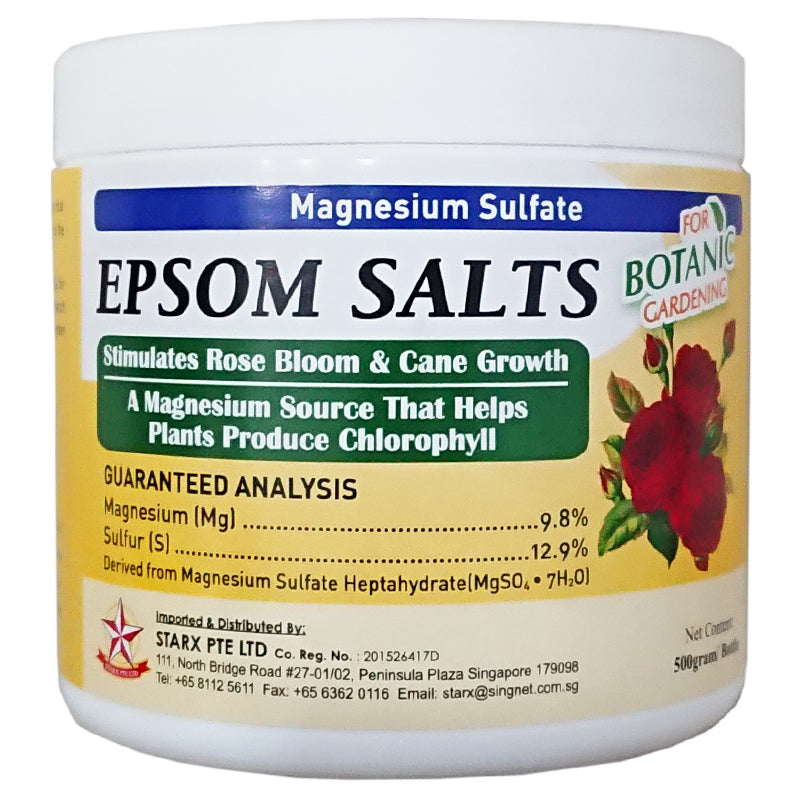 STARX Epsom Salts (500g)