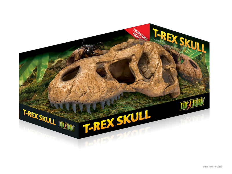 EXO-TERRA T-Rex Skull