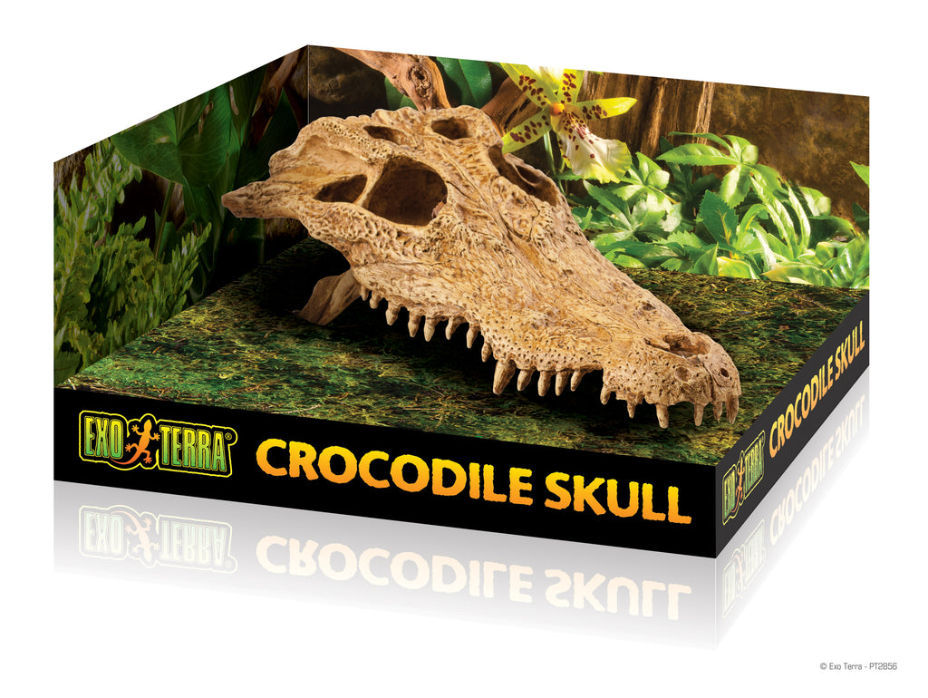 EXO-TERRA Crocodile Skull