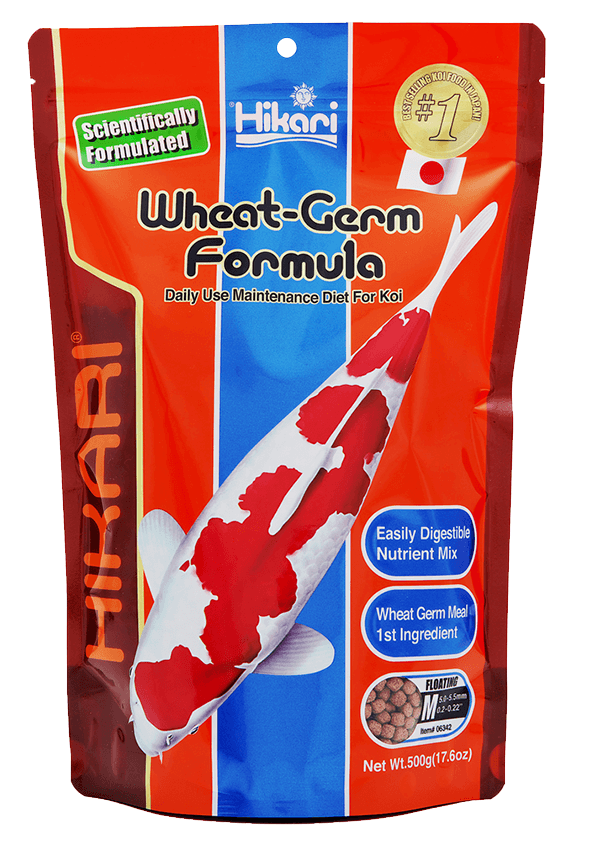 HIKARI Wheat Germ Formula (Floating / M / 500g)