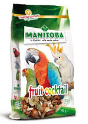 MANITOBA Fruit Cocktail (700g)