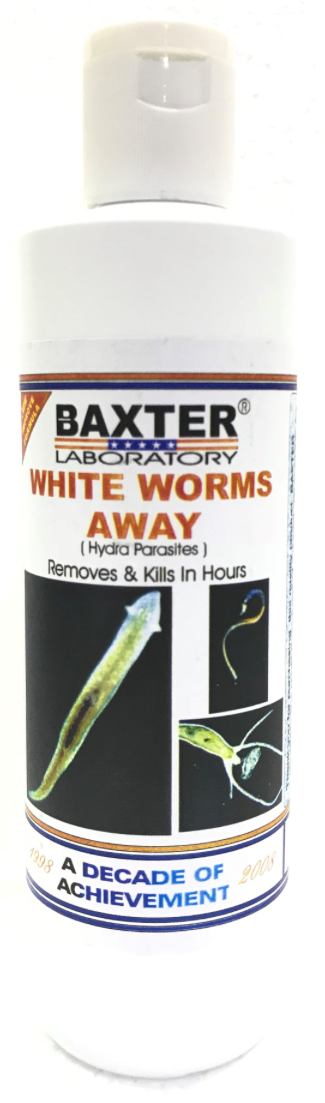 BAXTER (AQUA) White Worms Away (Hydra Parasites)