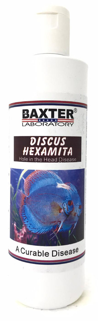 BAXTER (AQUA) Discus Hexamita