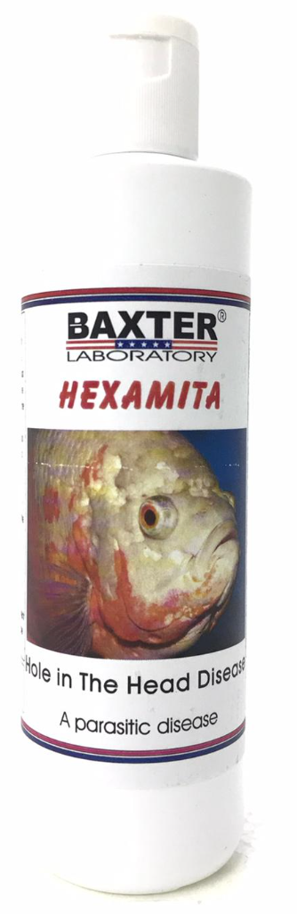 BAXTER (AQUA) Hexamita