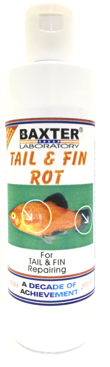 BAXTER (AQUA) Tail & Fin Rot