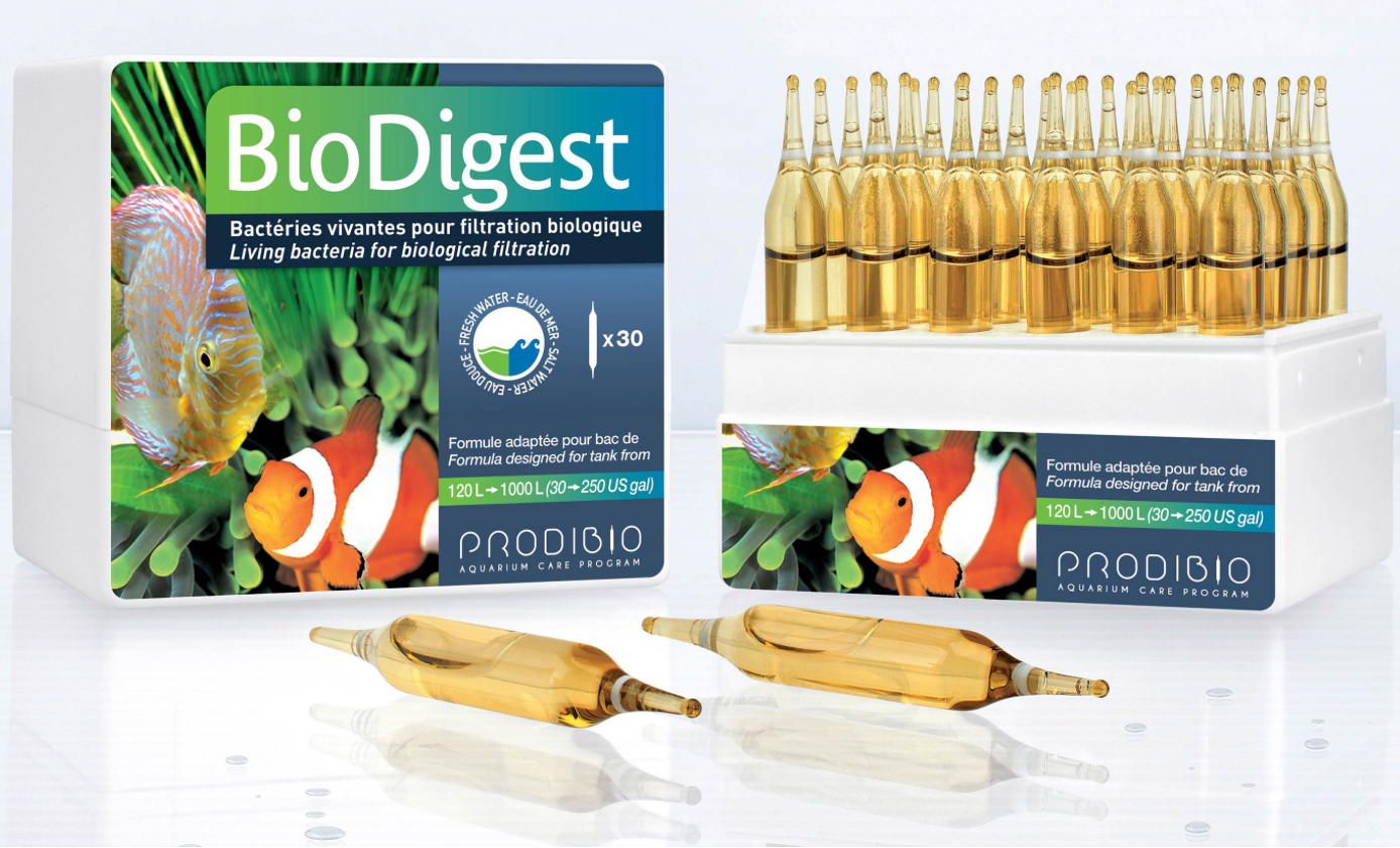PRODIBIO BioDigest (30 Vials) – Green Chapter PRODIBIO BioDigest (30 Vials) – Green Chapter