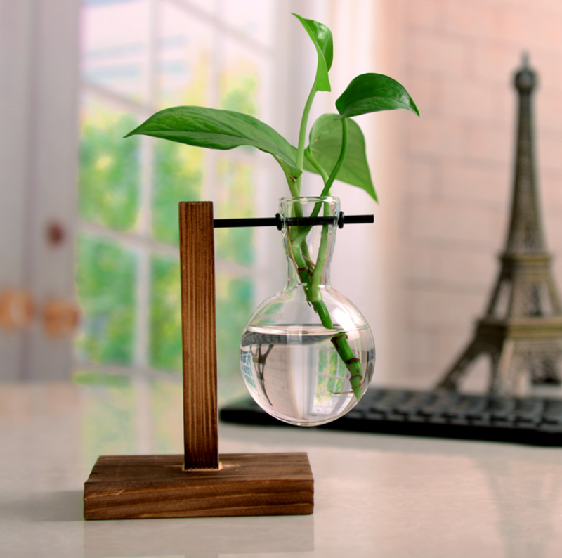 TERRA POTS Mini Jar with Wood T Stand (1 Jar / White)