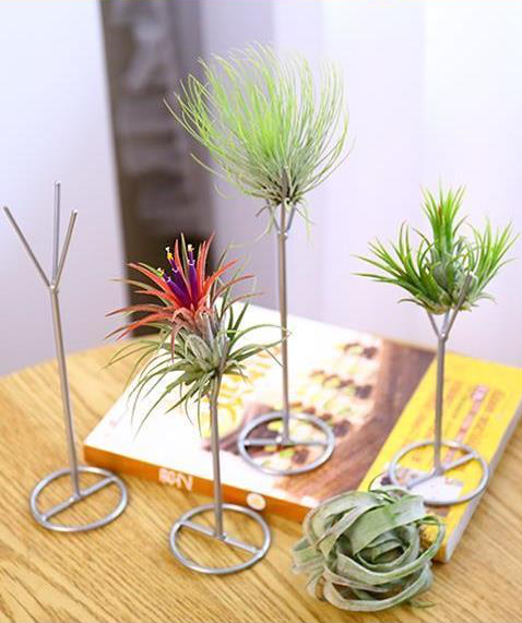 TERRA POTS Air Plant Holder (Trident Stand / S / 6x16cm)