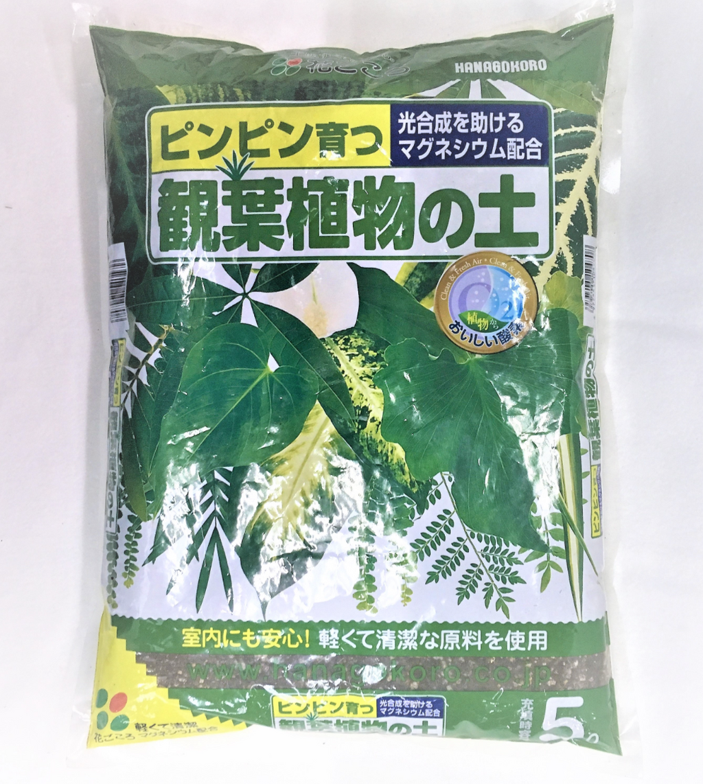 HANAGOKORO Soil for House Plants (5L)