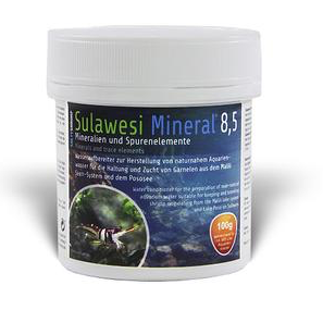 SALTYSHRIMP Sulawesi Salt 8.5