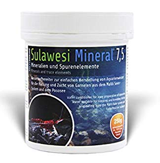 SALTYSHRIMP Sulawesi Salt 7.5