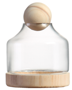 TERRA POTS Glass Jar w Wood Base Ball Top (26 x 19cm)