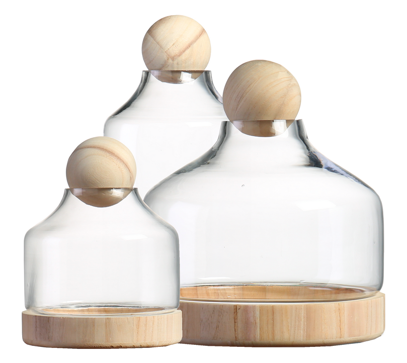 TERRA POTS Glass Jar w Wood Base Ball Top (30 x 50cm)