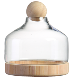 TERRA POTS Glass Jar w Wood Base Ball Top (30 x 28cm)