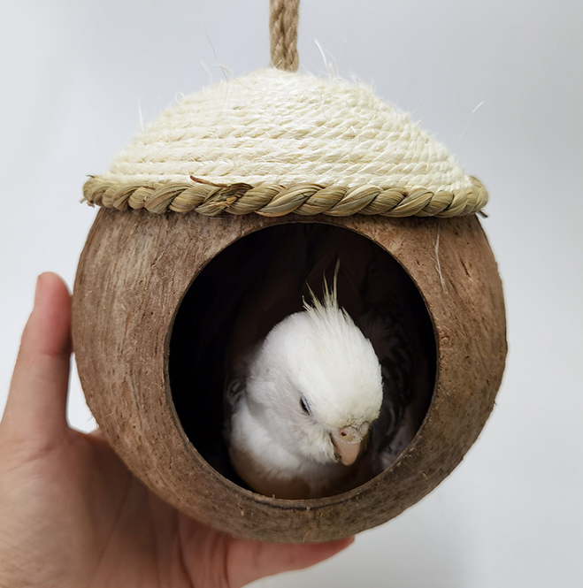 FIDS-PLAY NESTER (Coconut Hut White Top)