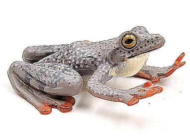 GCS Figurine Kajika Frog (5.8cm)