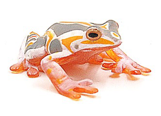 GCS Figurine Painted Reed Frog (3.8cm)