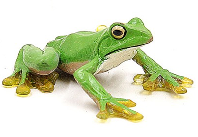 GCS Figurine Litoria caerulae  Frog (6cm)