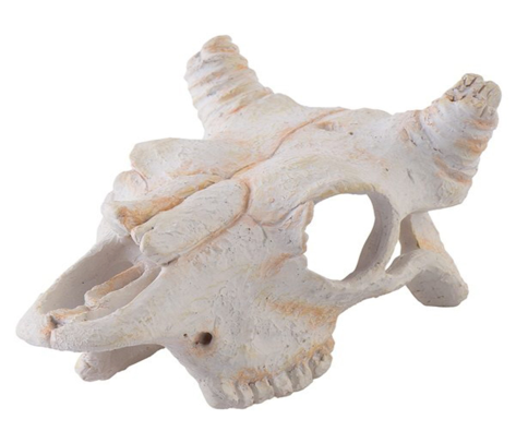 EXO-TERRA Buffalo Skull