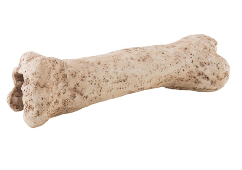 EXO-TERRA Dinosaur Bone