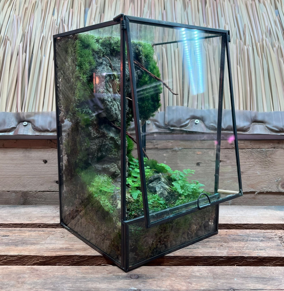 Custom 2024 glass terrarium