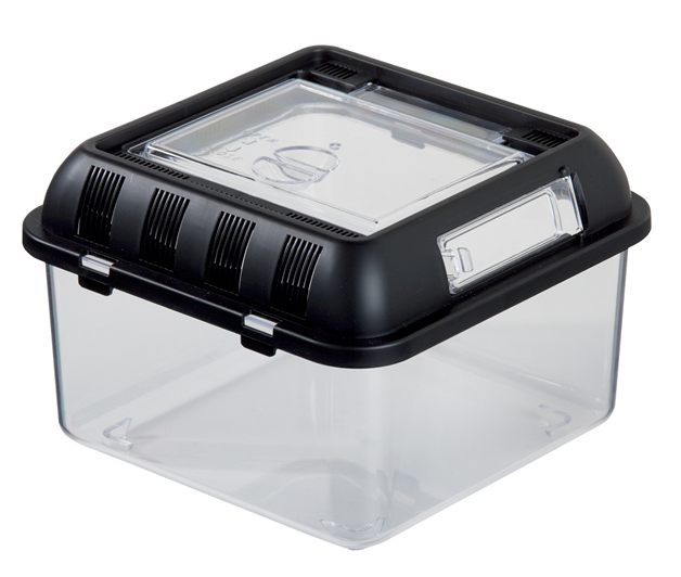 REPSHOP Plastic Rearing Tank – Green Chapter