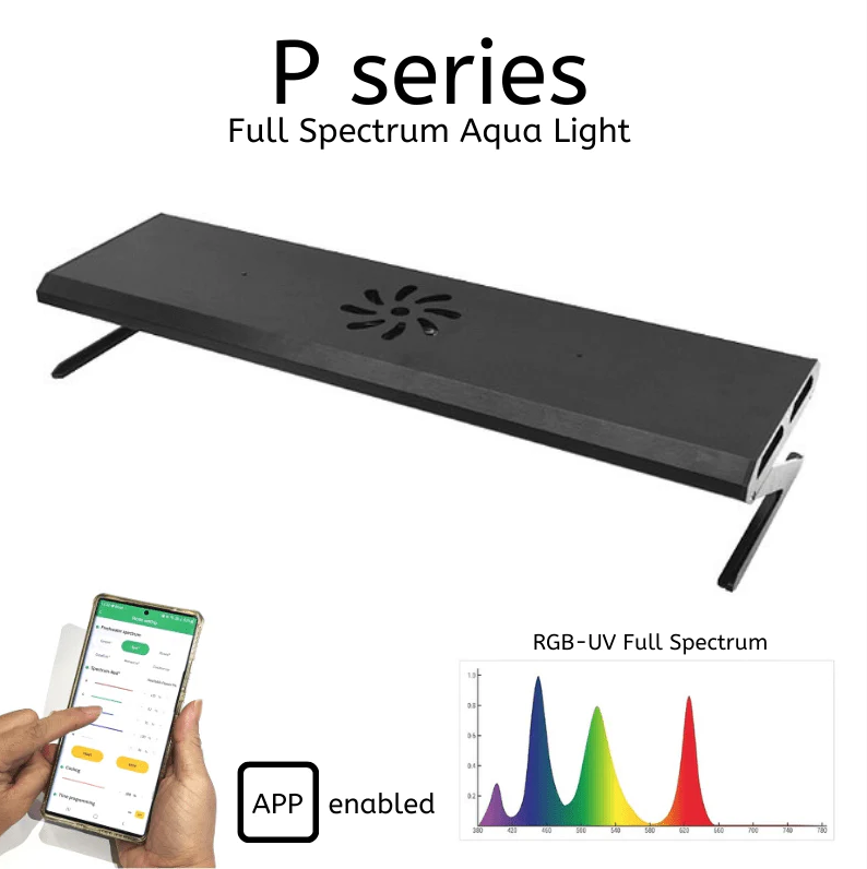 WEEK AQUA P Series (Professional)