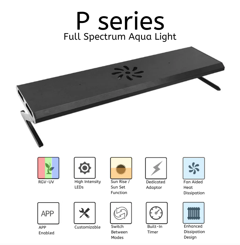 WEEK AQUA P Series (Professional)