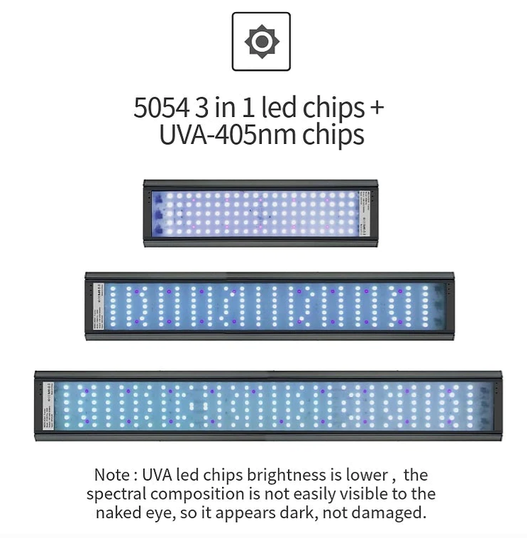 WEEK AQUA P Series (Professional)