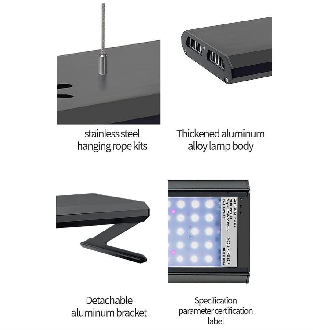 WEEK AQUA P Series (Professional)