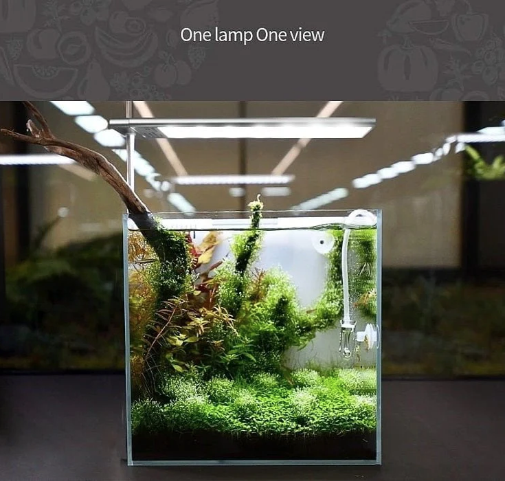 WEEK AQUA S Series (Nano)