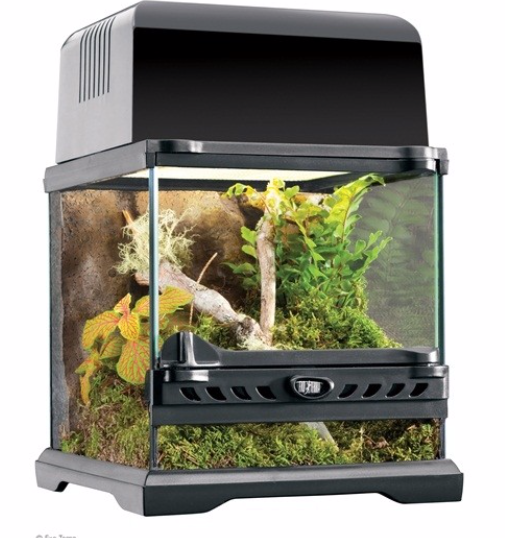 EXO-TERRA Glass Terrarium – Green Chapter